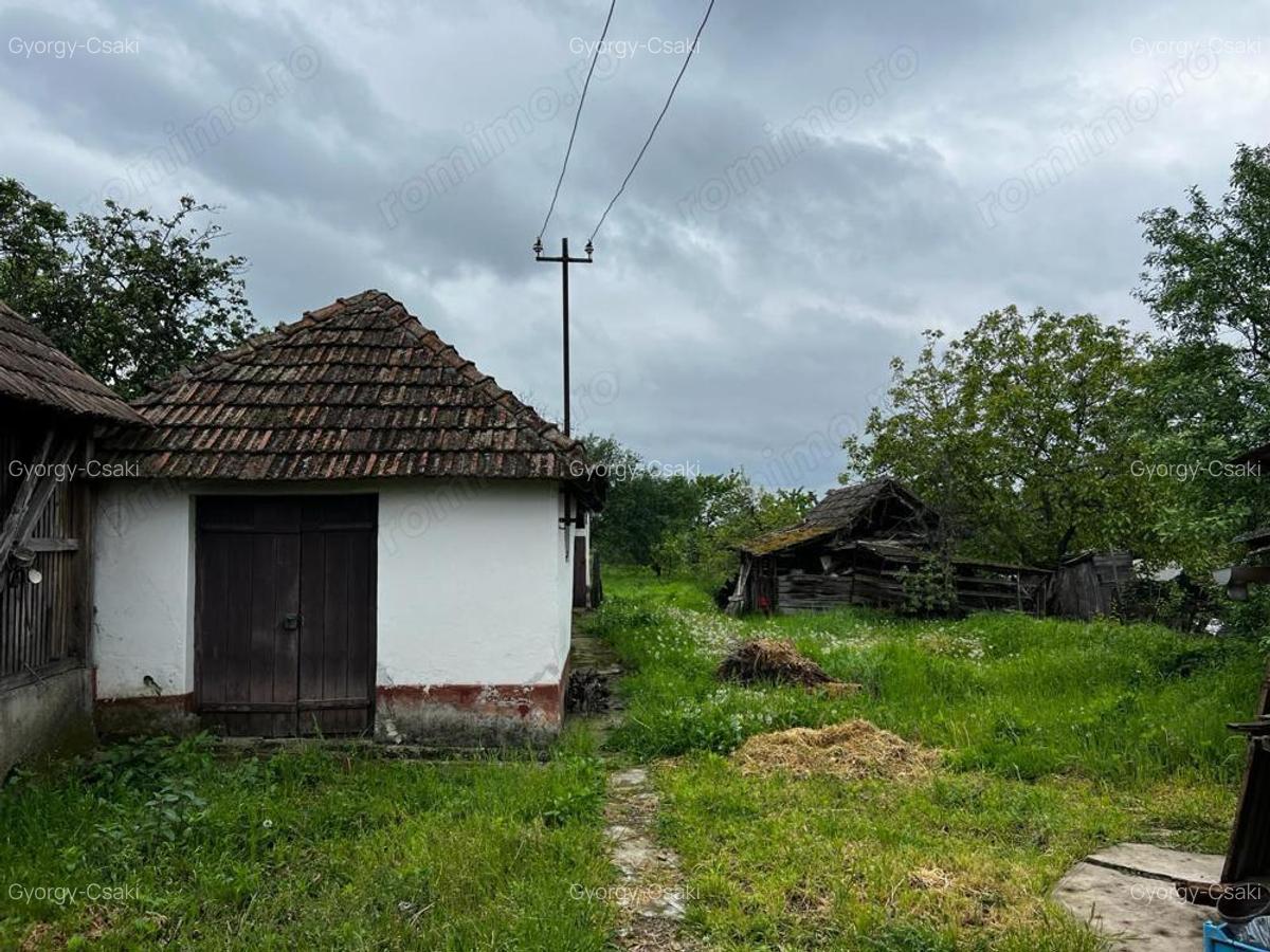 Casa sanatoasa cu teren 3000 mp - Sisterea - IMOBIHOR - 8