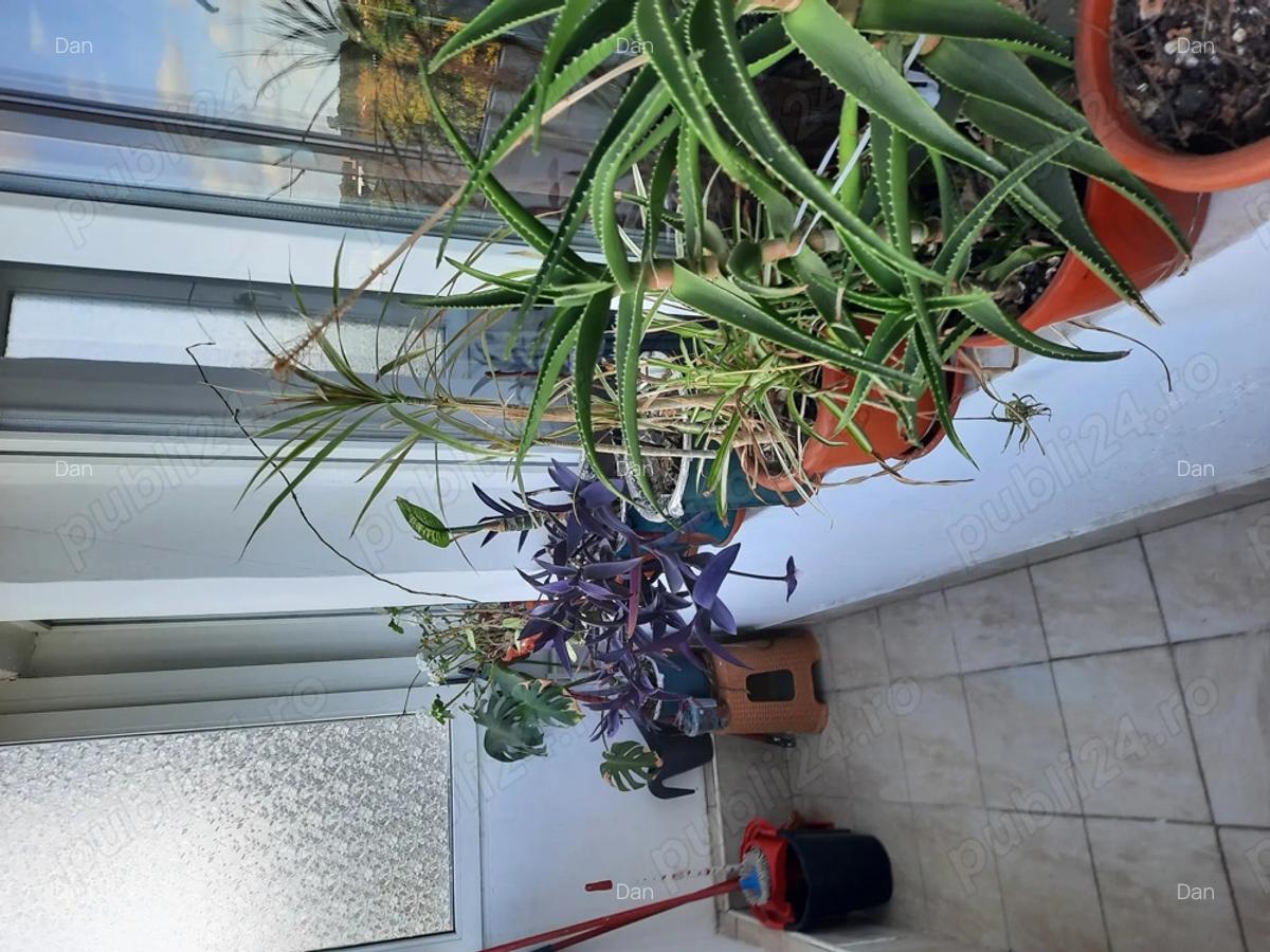 Garsoniera de inchiriat - 2