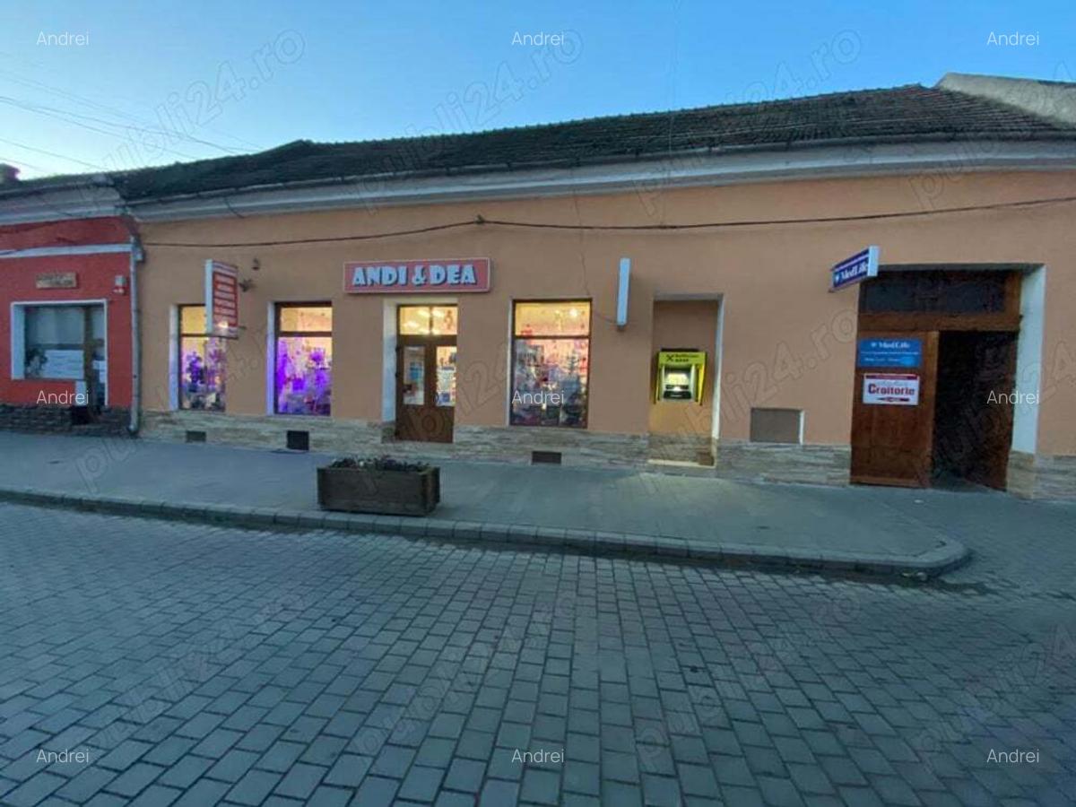 Oportunitate investitionala in zona centrala 760mp - 1