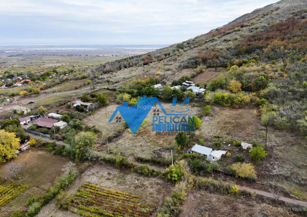 Teren intravilan NICULITEL, zona deosebita, 3044MP - 8