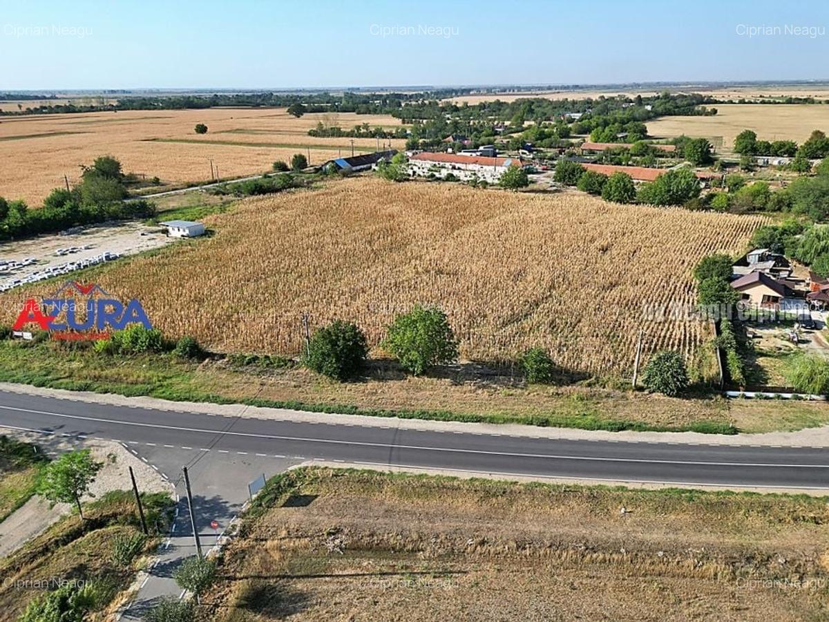 AZURA Imobiliare - Teren la DN7 langa Gaesti, Crangurile - Badulesti - 4
