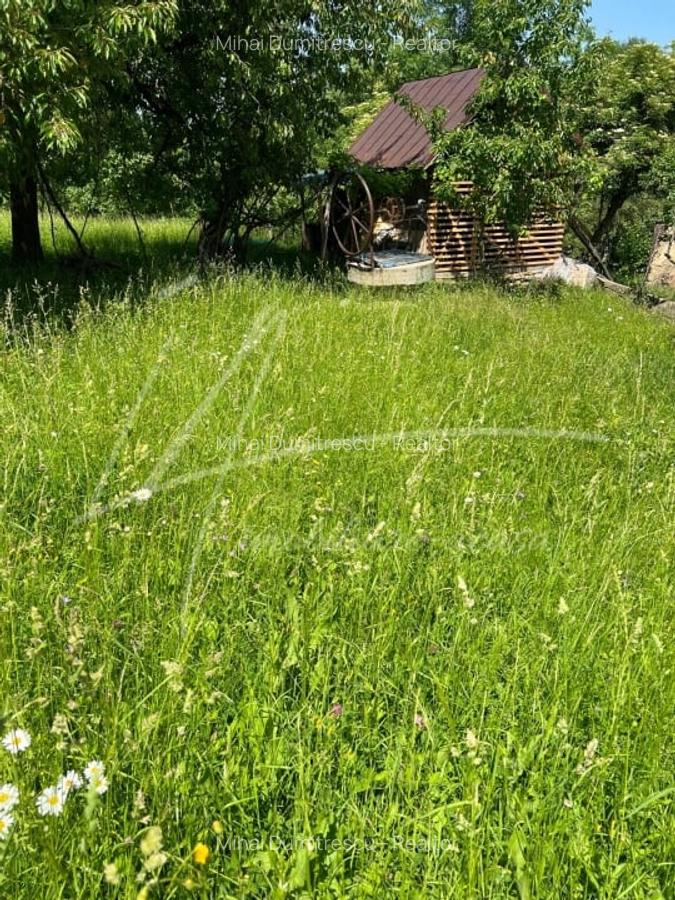 Teren intravilan de 1740 mp cu constructie in Provita de Sus-PH. Casa gratis! - 33
