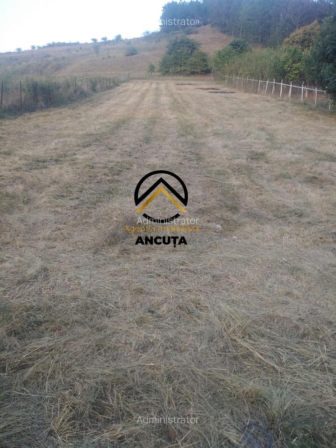 Teren Construcții intravilan de 1225 mp, în Gârbău - 1