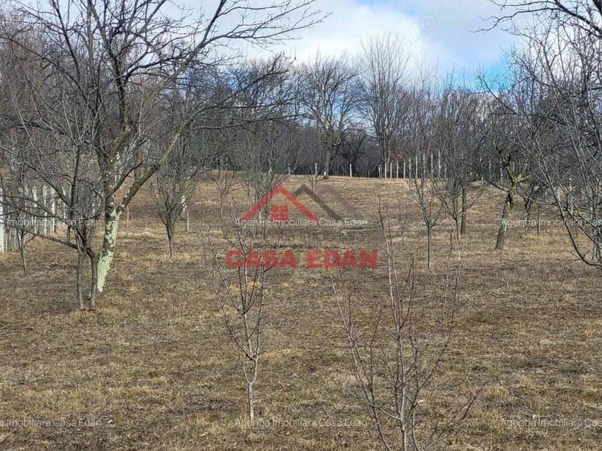 Teren intravilan in Cornu--2991mp--29e - 8