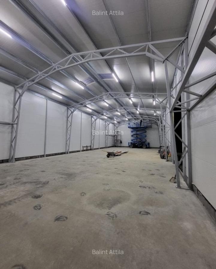 Giarmata Mare hala noua 2300 euro - 2