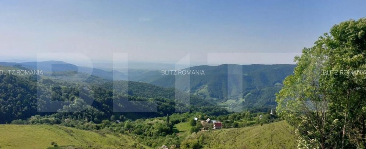 Teren extravilan pentru cabana, 3800 mp, zona-Ramet Transapu - 4