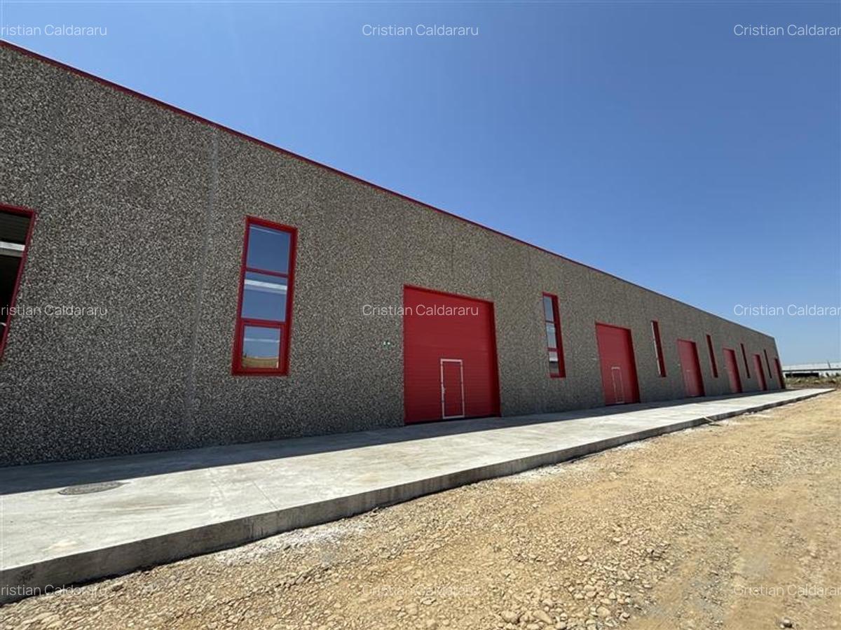 Inchiriere depozit/spatiu industrial/hala Chitila - Rudeni, ILFOV - 5