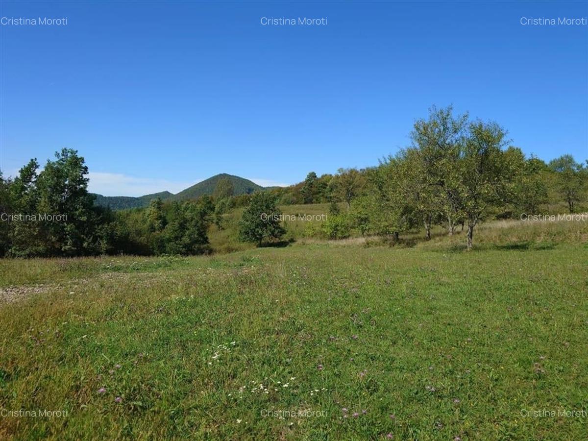 Teren intravilan 8757 mp cu potential turistic si acces direct la E79 - 4