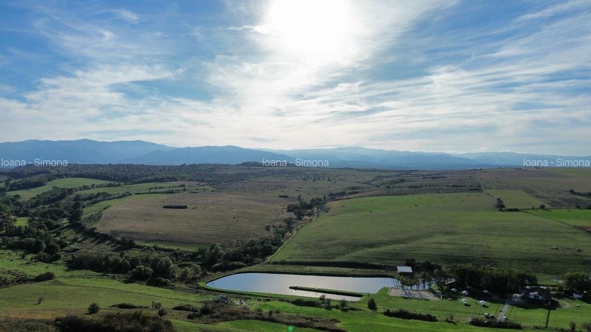 Parcele teren pentru cabane Sibiu -Dealul Daii -Casolt,  direct de la proprietar - 4