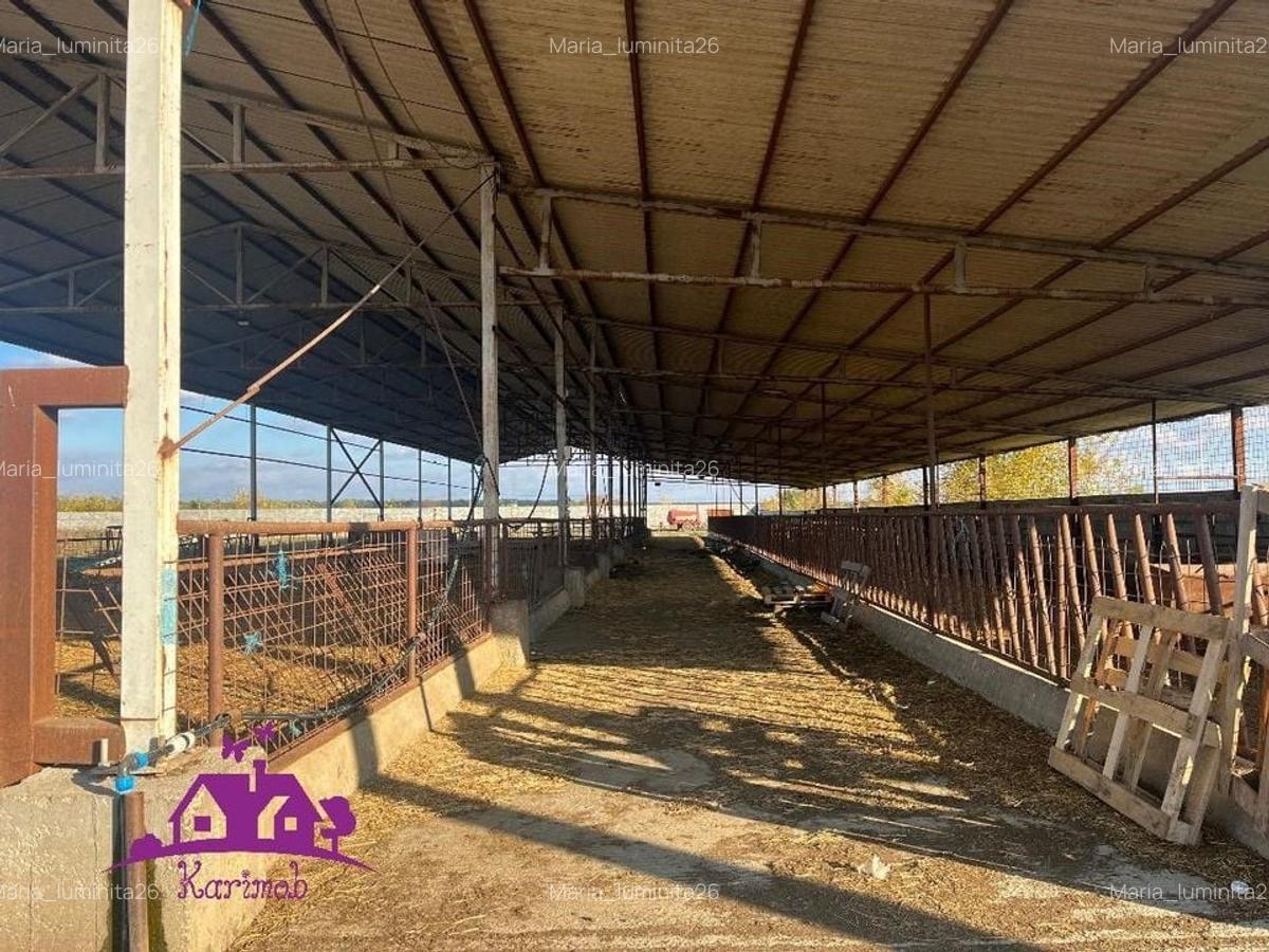 Teren industrial si o constructie pe structura metalica - 2