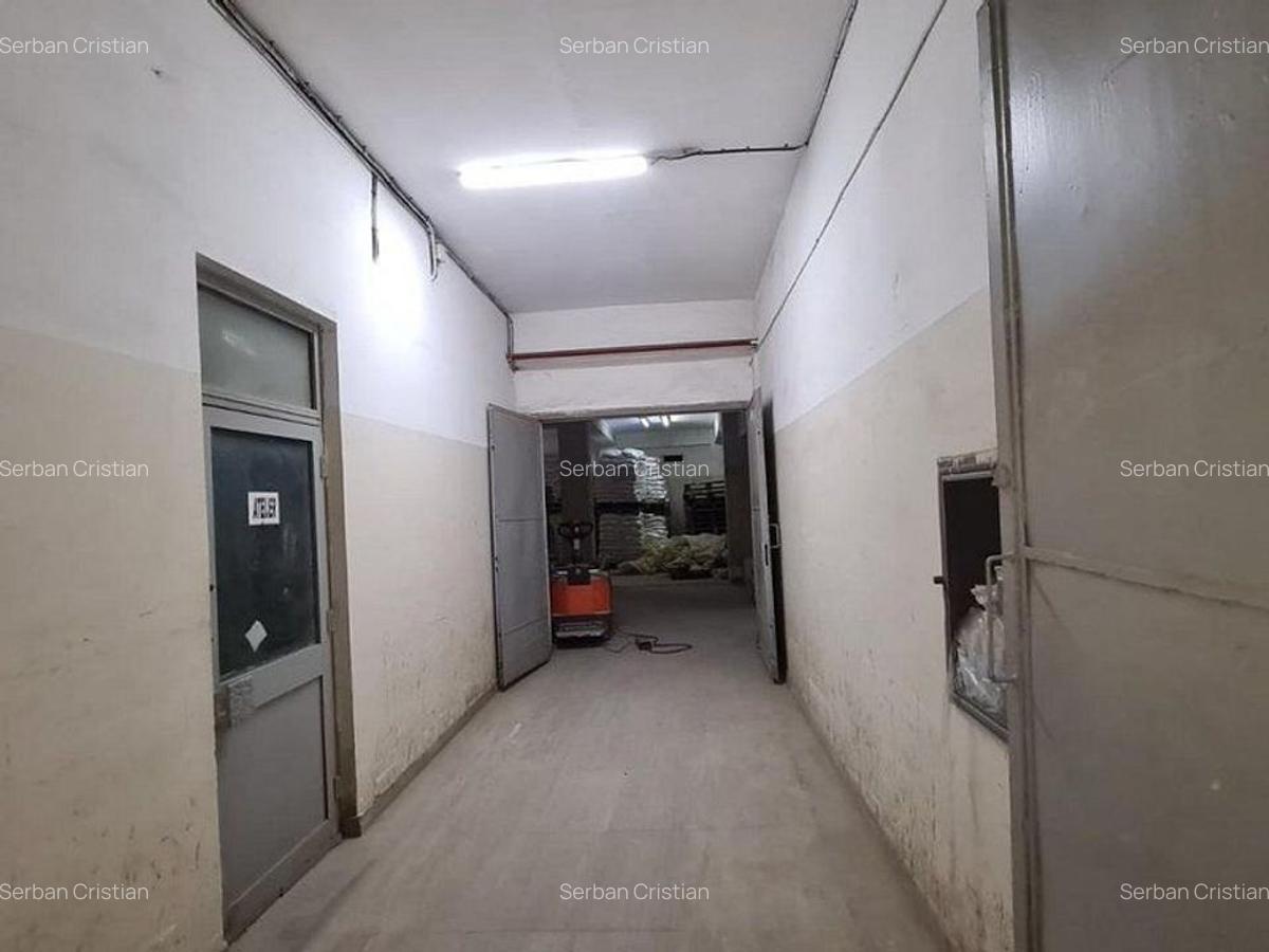 Drumul Intre Tarlale spatiu productie 400-1500 mp - 11