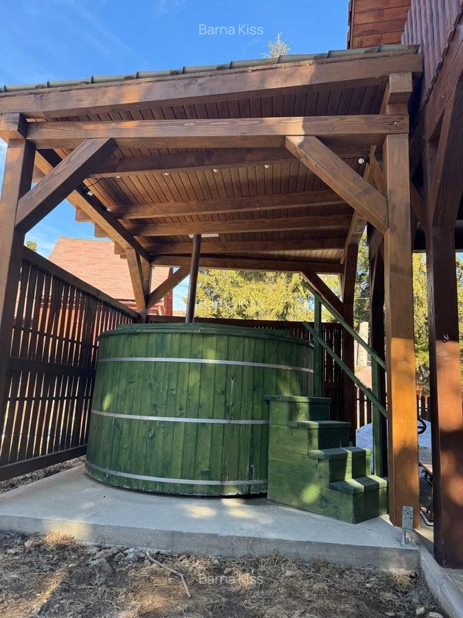 Vilă cu 6 camere de vânzare - 2 Vilă cu 6 camere de vânzare - 2