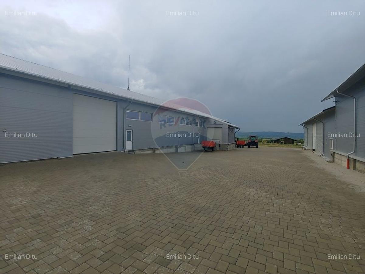 Depozit refrigerare de 292mp Dumbraveni, Suceava - 2