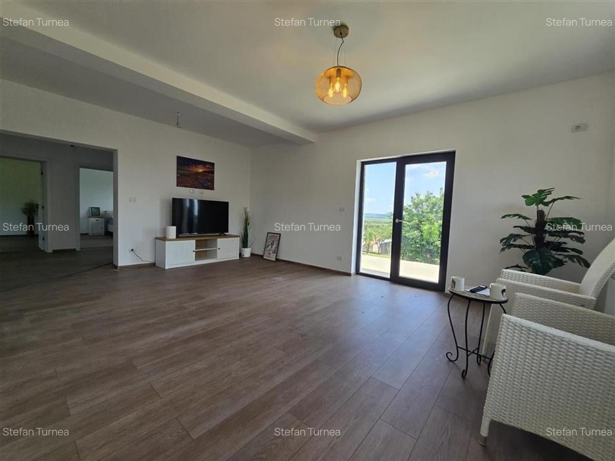 Casa  - Panoramic Probota - 1