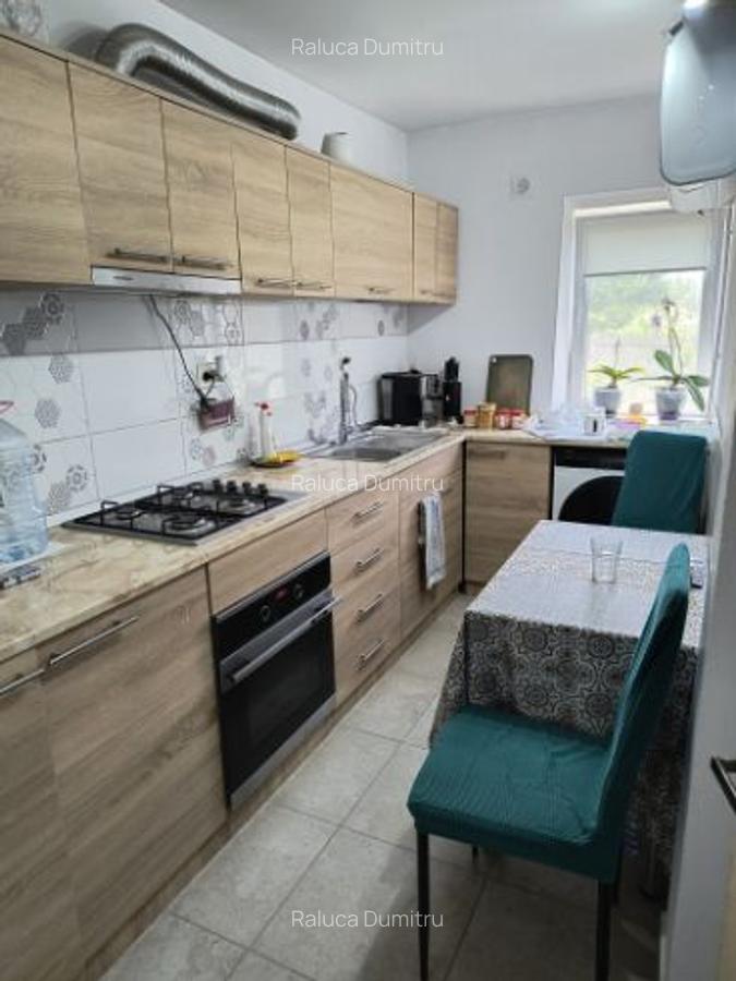 Casa si curte de vanzare, beci, 2 terase, 2 fantani - 3