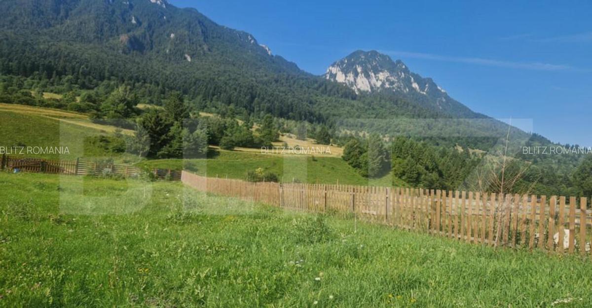 Teren Plaiul Foii, vedere spre muntii Bucegi si apa Barsa 10 - 7