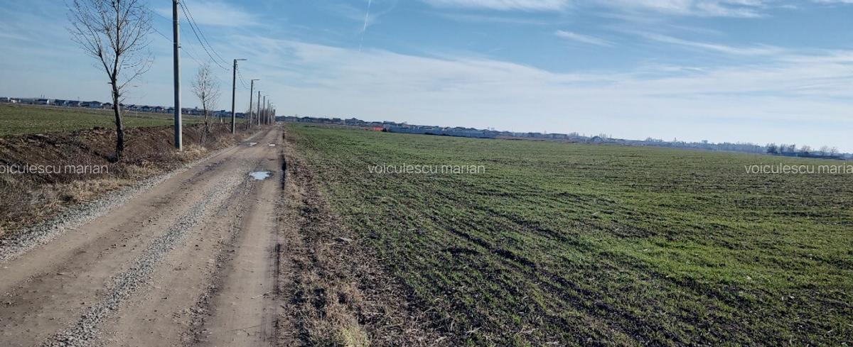 Direct proprietar teren intravilan 700mp Otopeni Odai - 3 Direct proprietar teren intravilan 700mp Otopeni Odai - 3