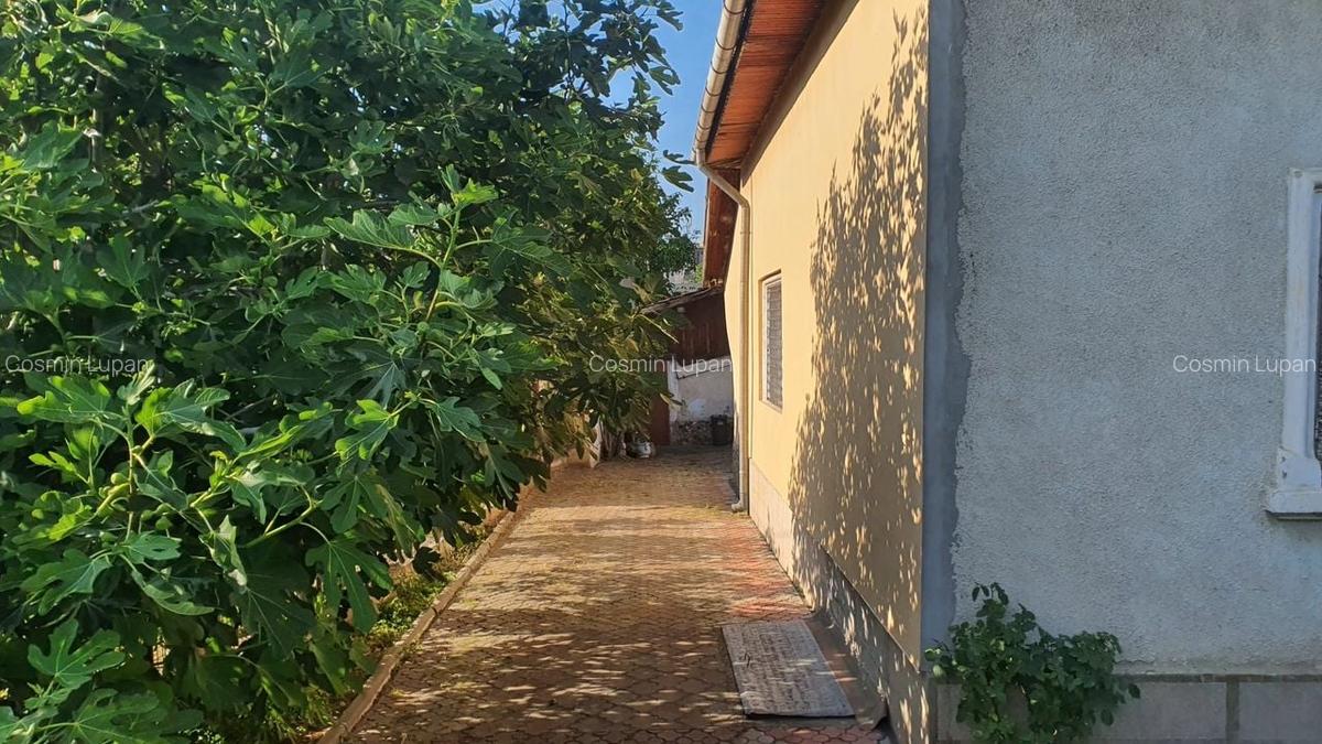 Casă de vanzare S+P+M, 6 camere, teren 1500 mp - 2