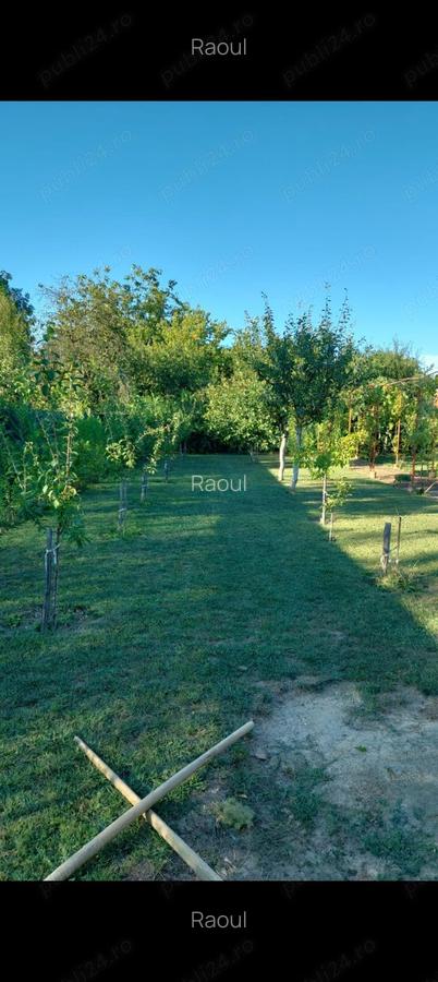 Casa de vanzare Oituz 59 - 10