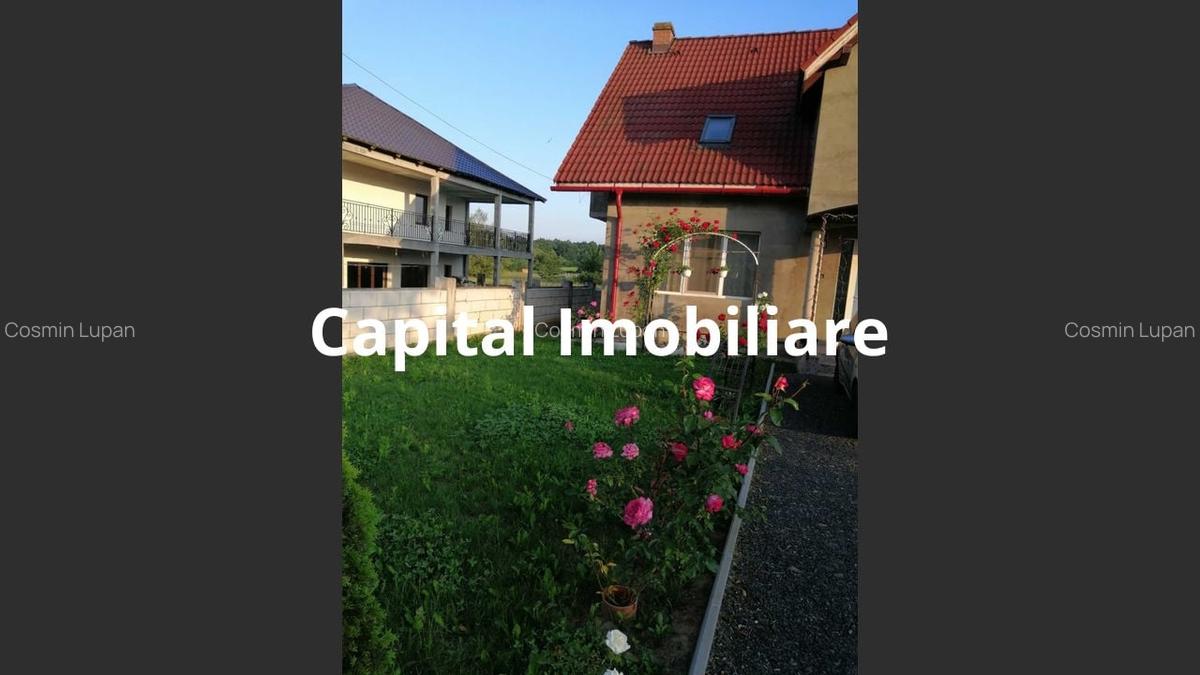 Casă de vânzare, 166 mp, 4 camere, Lăpușel - 3