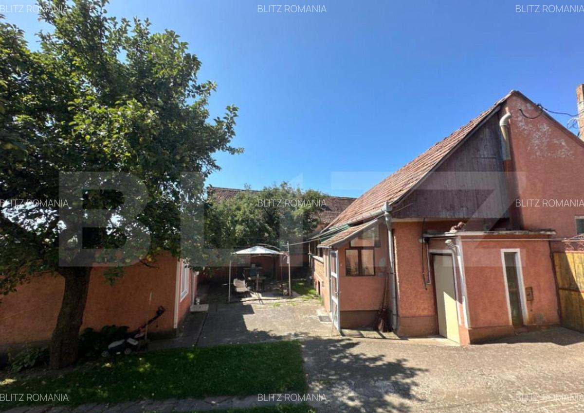 Casa saseasca de vanzare, curte, gradina, teren 3000 mp - Ji - 9