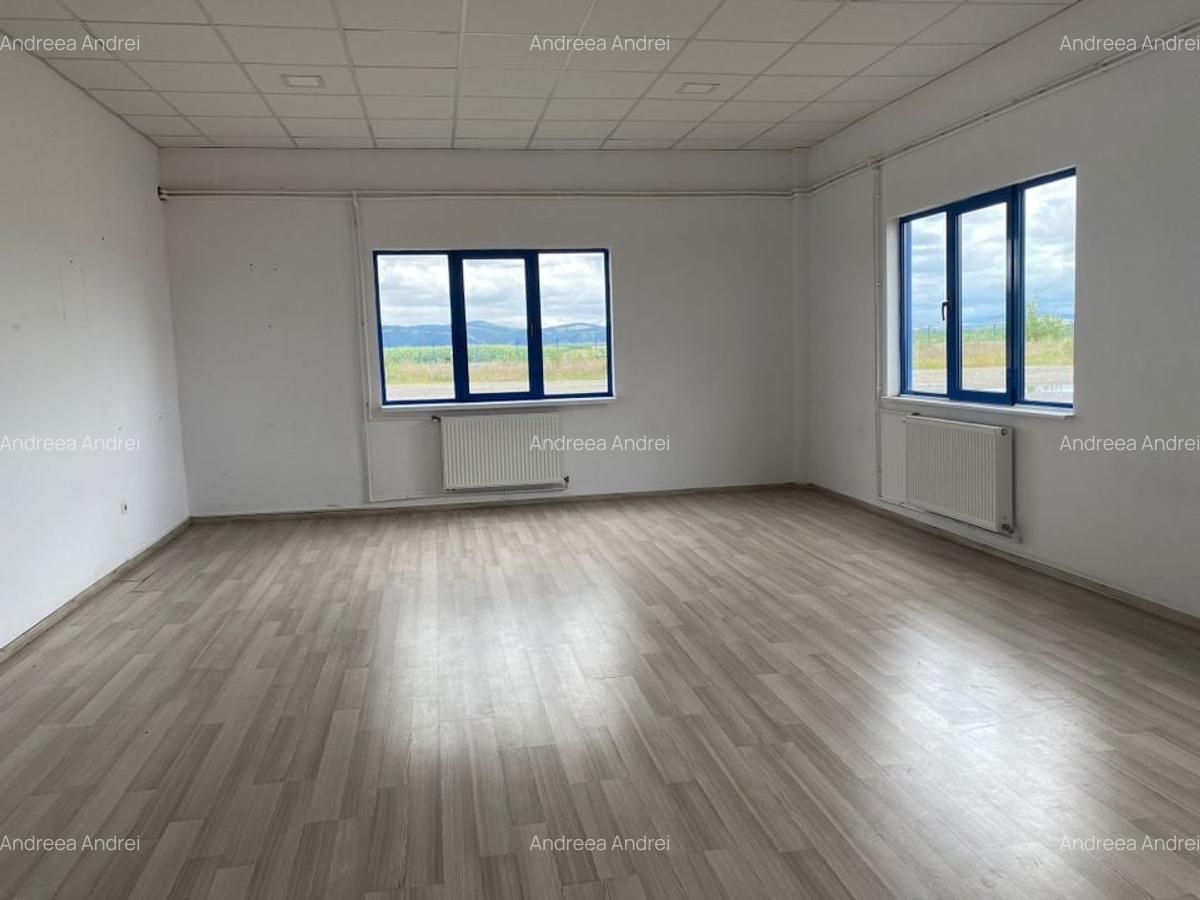 Spațiu industrial, 5500 mp în Feldioara - 6