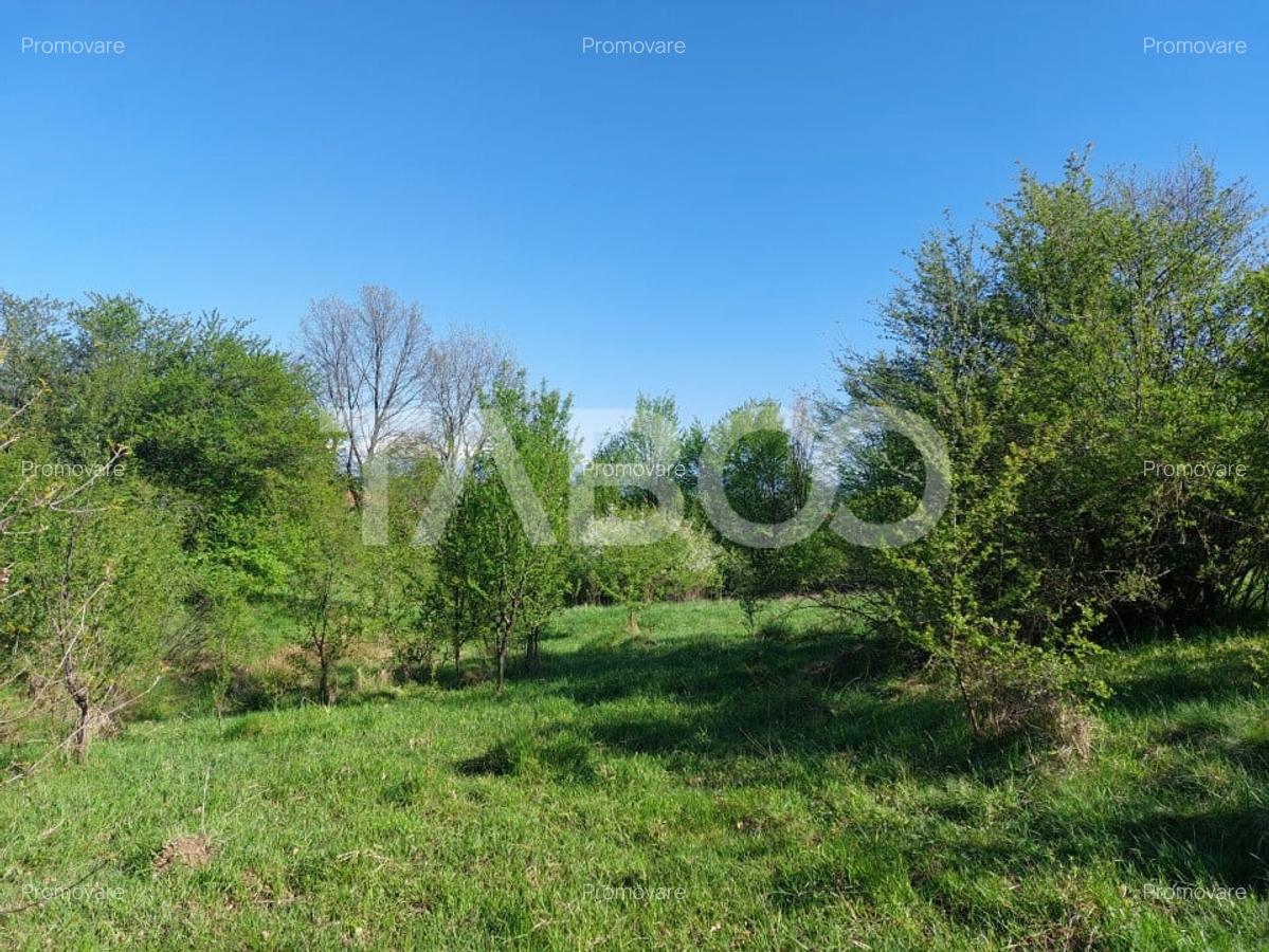 Teren 3445 mp pentru persoanele care doresc casa  cu teren generos - 8