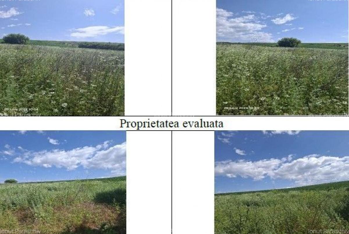 Teren Balteni, cota parte 1/4, ID: R2695268 - 4