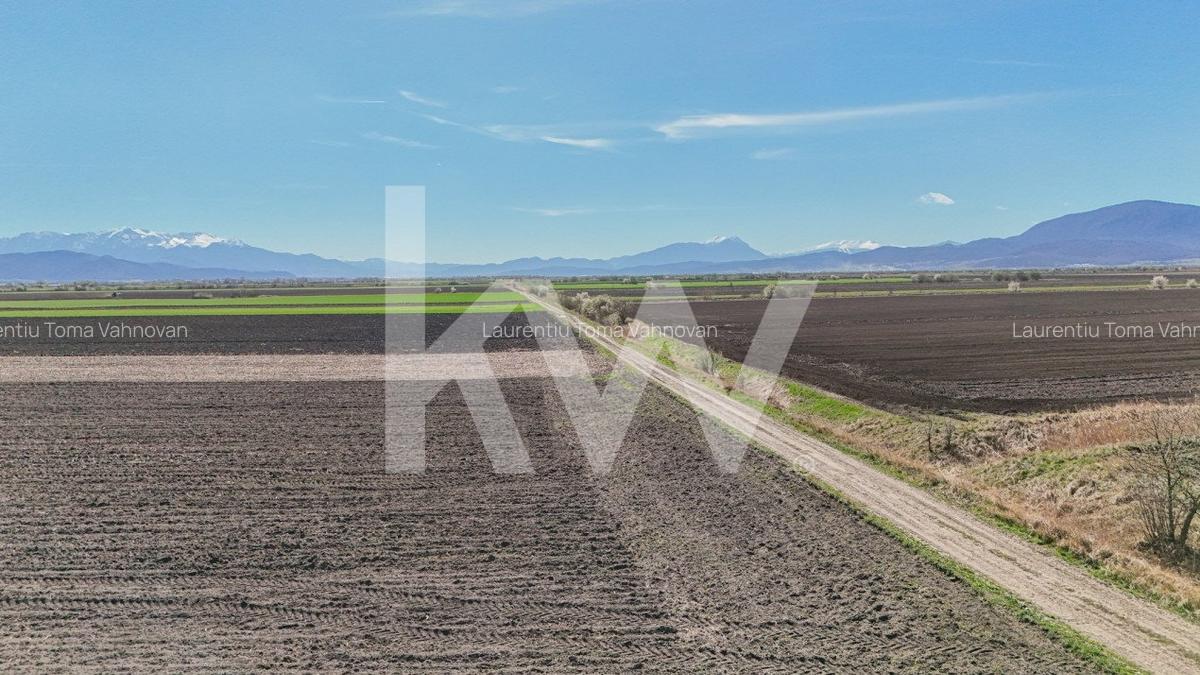Vanzare teren extravilan agricol Halchiu 15000mp - 9