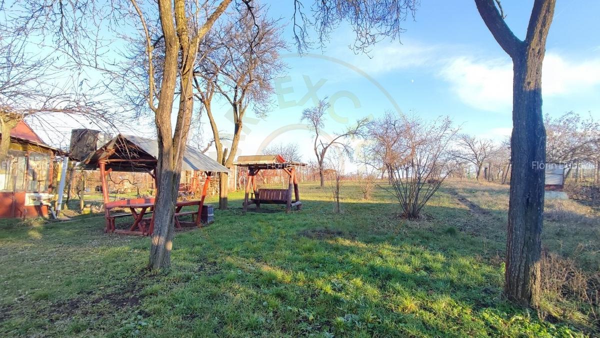 De vanzare Casa 2 camere cu Teren 1323 mp, 2 fronturi - Gradina Viilor - Carei - 3