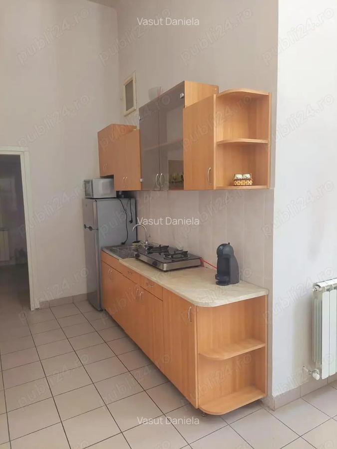 Dau in chirie apartament in casa ,doua camere,ultracentral,suprafata ultima 100 MP - 6
