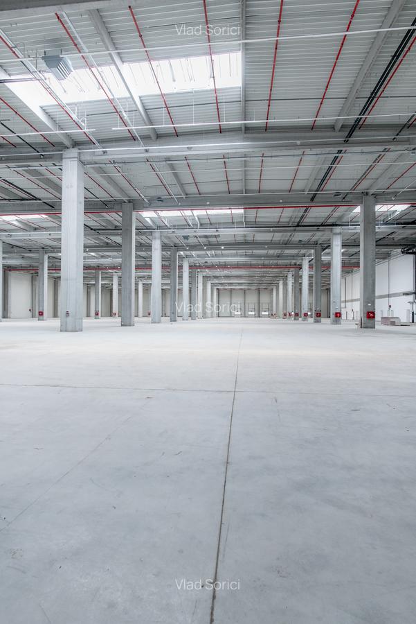 Depozit Hala Autorizata ISU 600 mp -15000 mp - 4 Depozit Hala Autorizata ISU 600 mp -15000 mp - 4