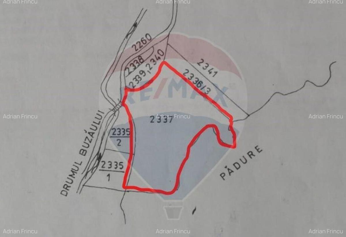 Teren 20000 mp, sat Dalghiu, com Vama Buzaului - 8 Teren 20000 mp, sat Dalghiu, com Vama Buzaului - 8