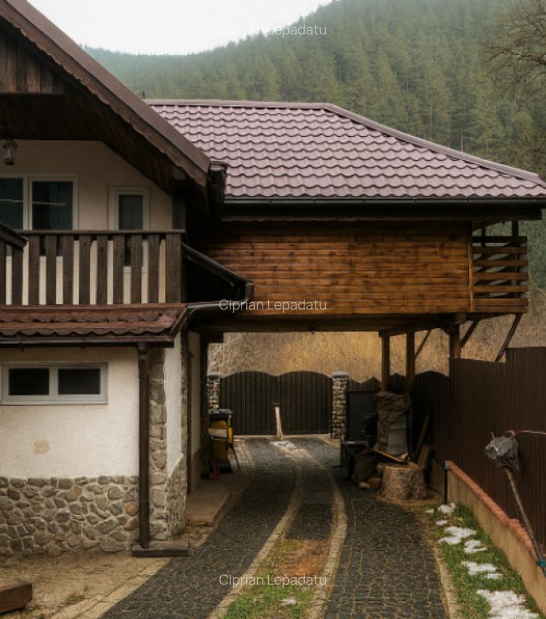 Case de vacanta zona Rasinari - 5