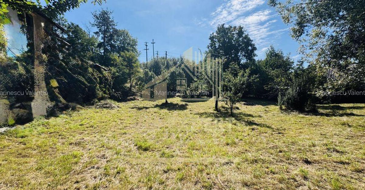 TEREN INTRAVILAN 3234 MP LERE?TI VOINE?TI ARGE? - 2