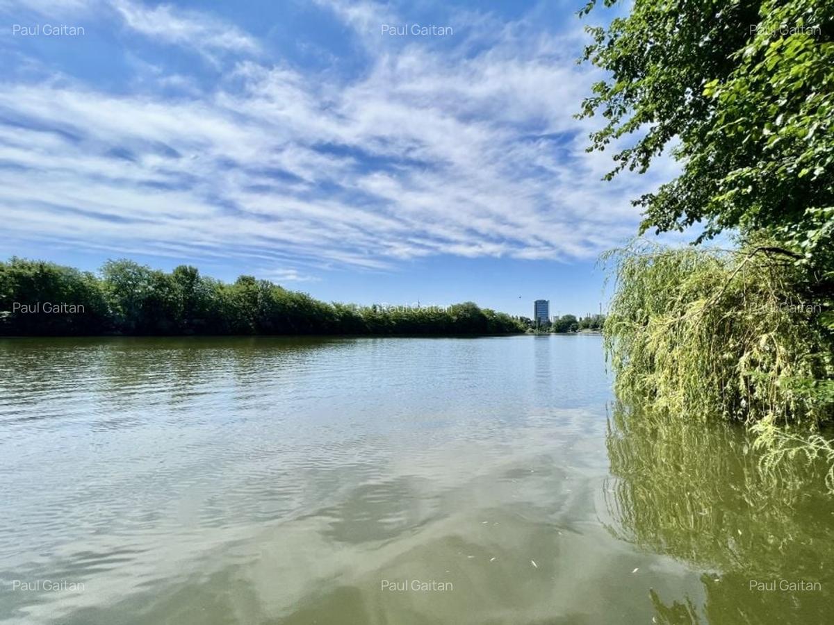 Teren Construcții intravilan de 6000 mp, în Dămăroaia - 2