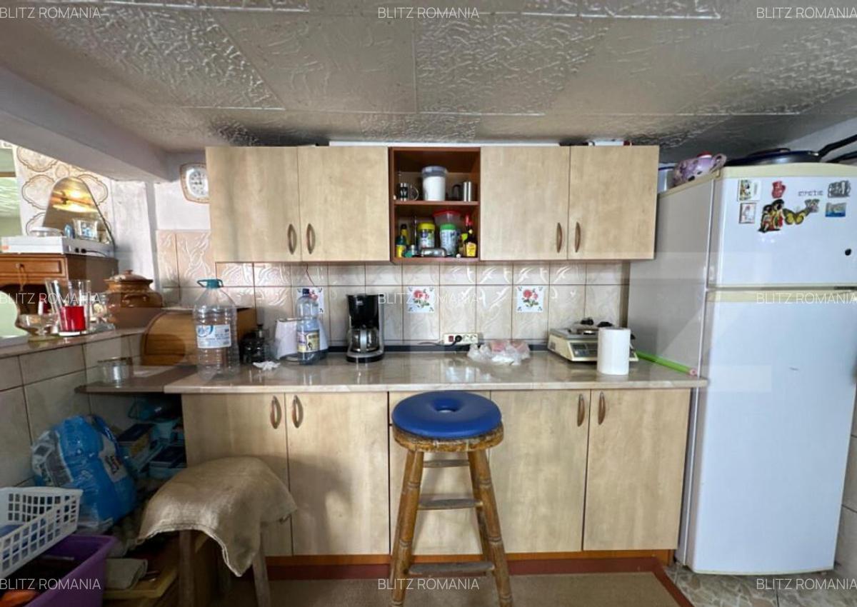 Casa saseasca de vanzare, curte, gradina, teren 3000 mp - Ji - 16