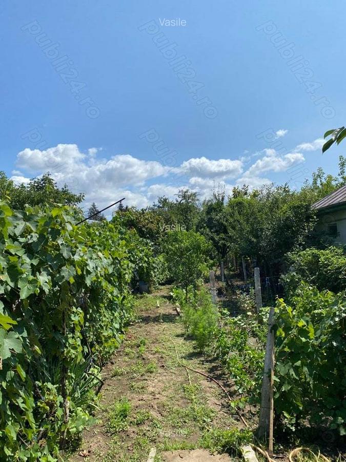 Casa de vanzare ! - 4 Casa de vanzare ! - 4