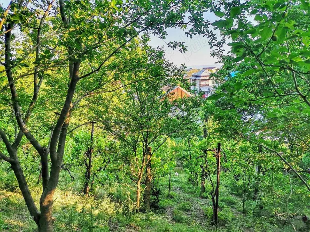Casa 3 camere + anexa, teren - 1253 mp Targu Neam?, Str. Mihai Viteazu - 4