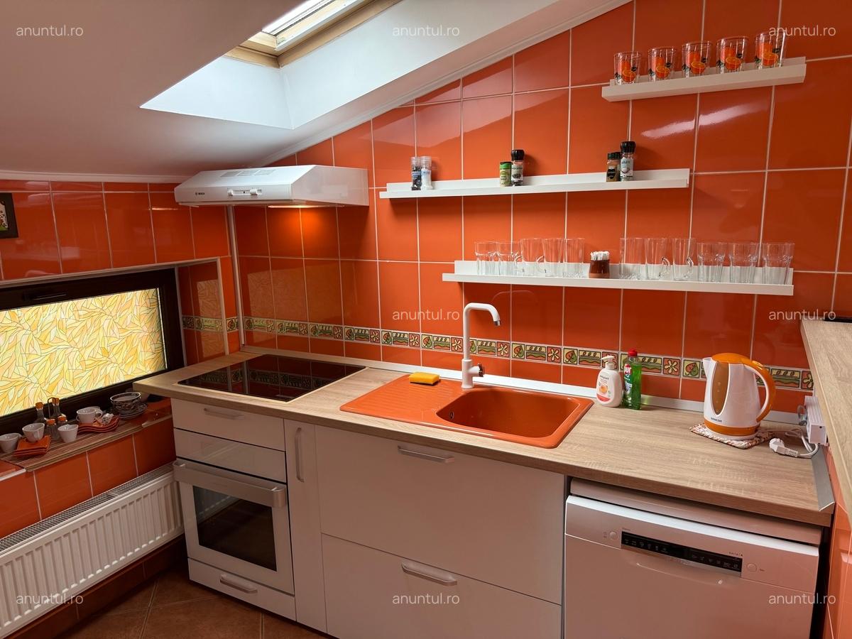 Dorobanti, Tudor Stefan - 11