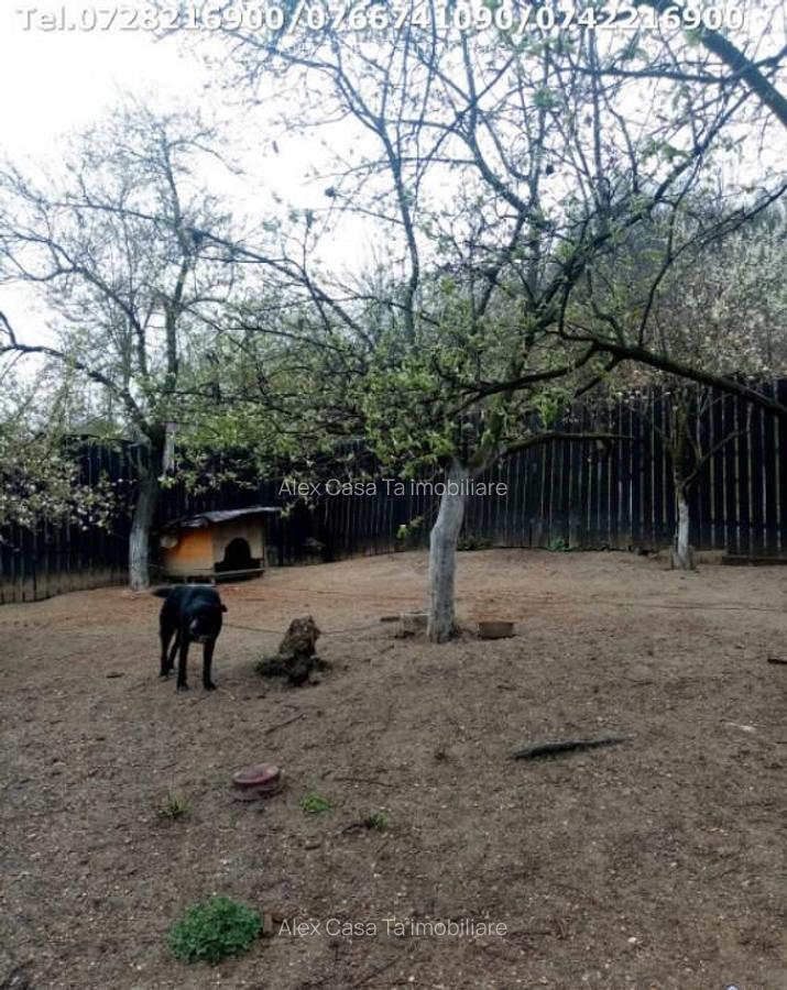 Casa in Motru, Com Slivilesti, Sat Miculesti - 11