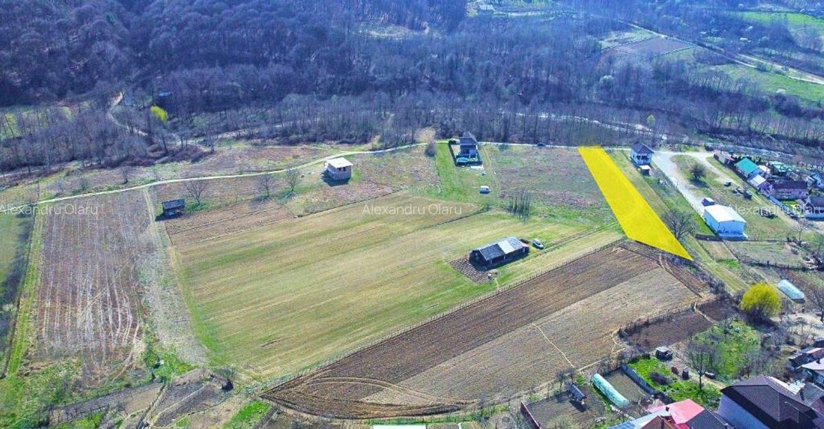 BUDESTI - TEREN 2550 MP - 5