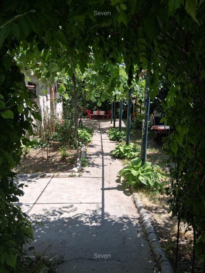 Casa 4 camere - Murfatlar - 135.000 euro(Cod E7+E11) - 12