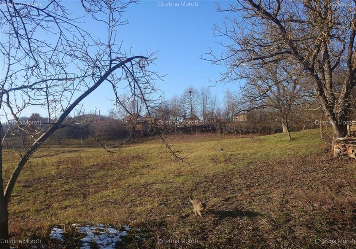 Casă cu 4 camere în Central - 18
