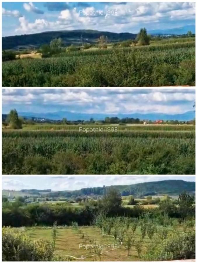 Casă La Roșu + 4870 mp intravilan împrejmuit Sălsig! - 9