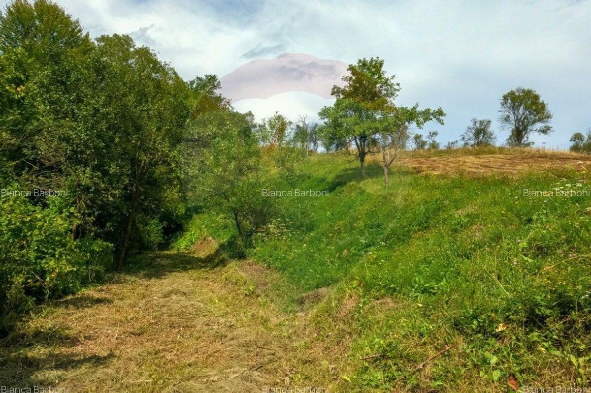 Casa veche cu teren ,Varmaga jud Hunedoara - 5