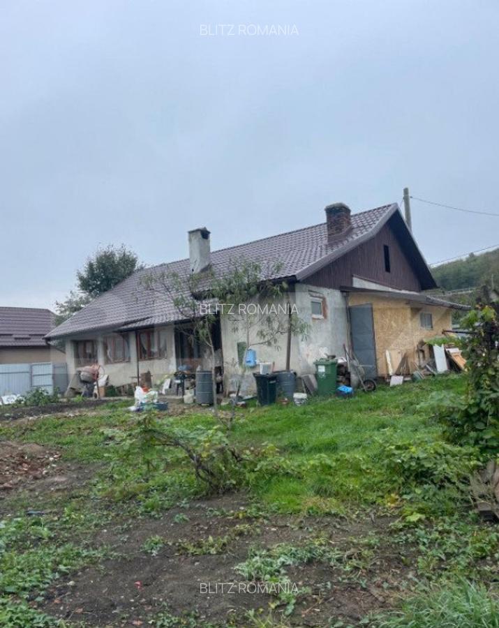 Casa de Vanzare in Teaca de 3 camere plus 17 arii teren ! - 3