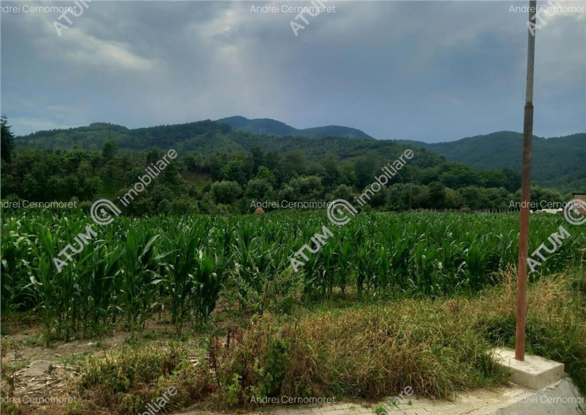 De 733 mp in Boita Sibiu - 5