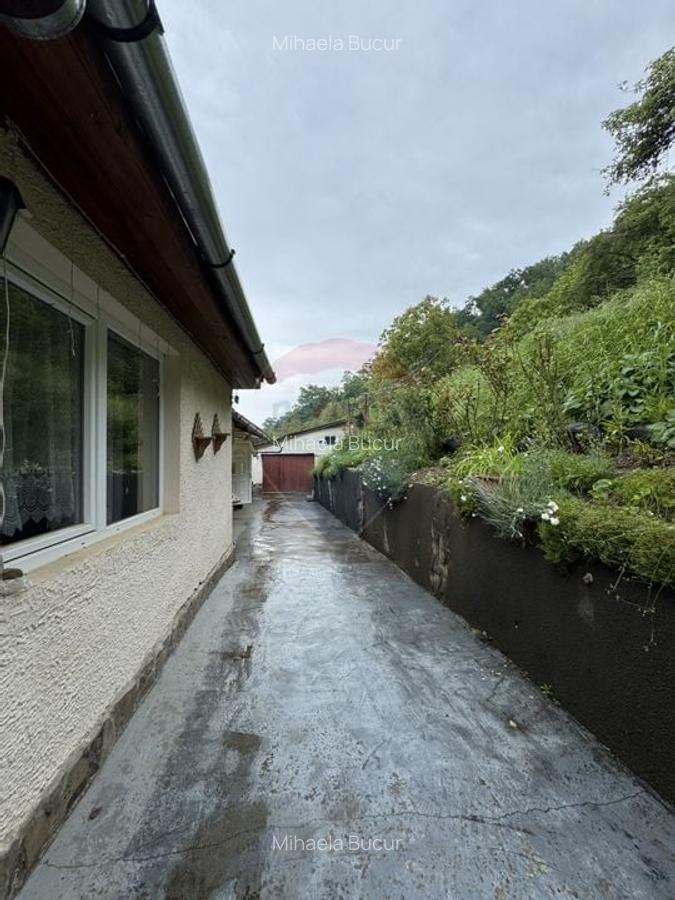 Casa in mijlocul naturii in Sighisoara, 912 mp teren - 7