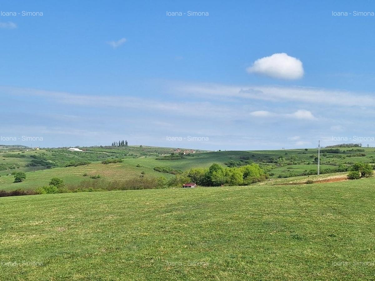 Parcele teren pentru cabane Sibiu -Dealul Daii -Casolt,  direct de la proprietar - 10